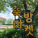 곡성기차당 뚝방마켓 | 곡성 장미축제 가는 길 | 우연히 발견한 뚝방마켓 &amp; 감성 포토존 🫧