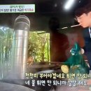 들얼농장