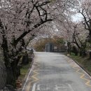 이백초등학교 이미지