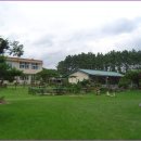 은풍초등학교 이미지