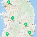 낭만펫 강아지분양 고양이분양 대전 본점 이미지