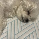 개그스토리마트(의정부중앙점) | 꼬질이여행기 ++일상 조금..