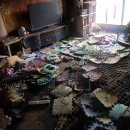 하이얀크리닝 이미지