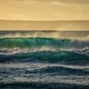 유한회사부동산중개법인엘 이미지