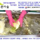 강원도 강릉 고랭지 절임배추 20kg 39,000원 무료배송-강릉 푸른마을 생산 이미지