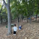 초안산 유아숲체험장 | 안산 숲놀이터 안산 중앙공원 유아 숲체험장 후기:)