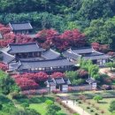 구지서로 이미지