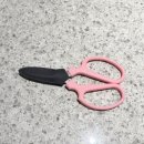 꽃꽂이 | 원예용품 일제 사카겐 꽃가위 셀프 꽃꽂이 후기 가격 절삭력비교