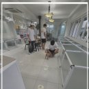 천사 애견 이미지