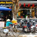 밤부(BAMBOO) 이미지