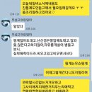 지치네...먼지다듬이벌레?