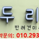 두리몽 이미지