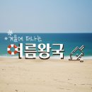 겨울을 피해 날아가고 싶은, 여름왕국 여행지 BEST 4 이미지