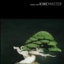 영주 제일교회 이미지