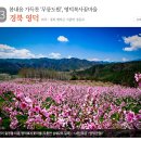 꽃길만걷자6 이미지