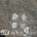 오현기획