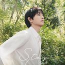 해피온스테이 이미지