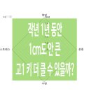 더클 이미지