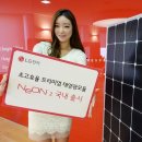 세기태양광발전소 이미지