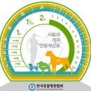 마음을 읽어주는 마음동물병원 이미지