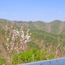 유민태양광 이미지