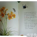 일등노래마을 이미지