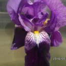 경북지업사 이미지