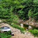 남조천 자전거길 이미지