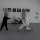 유본태권도 이미지