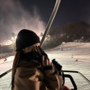 휘닉스 스노우파크 이미지