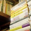 동화반점 이미지