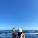 주식회사 넷하이 | 포항항ꉂꉂ(ᵔᗜᵔ*)