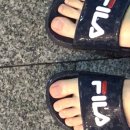 종강 했는디요