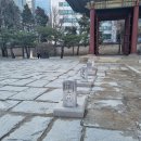 신하나유치원 | 초등학생 방학에 가볼 만한 곳 / 덕수궁 서울도보해설관광