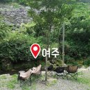 숲 | 여주 여행 | 계곡 앞 피오르 숲 빌리지 펜션 후기
