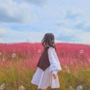 성욱목장 | [서울 근교/경기도 가볼 만한 곳] 아이와 가기 좋은 여행지 안성팜랜드/할인팁/꽃 개화시기