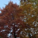 브라보캠핑장 이미지