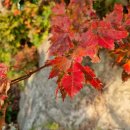 석포전망대 공중화장실 이미지