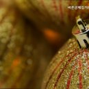 바른금매입거래소 - 유성구 문화원로 153 | 바른금매입거래소