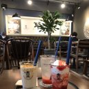 더치앤빈영주