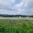 블루베리 가족 독채펜션 이미지