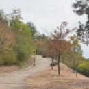 아침뜰근린공원 이미지