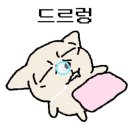엄지척생고기