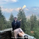 디왈리요가 | 인도 심라 여행 | 푹 쉬는 여행 Taj Theog Resort & Spa 2박 3일