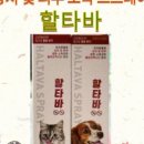 서면다정동물약국 이미지