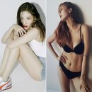 선미푸드 이미지