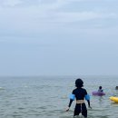 하조대해수욕장 화장실 2 이미지