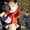 산의실천 이미지