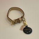 아이디펫 동물병원 이미지