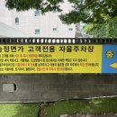 송정면가 | 부산 송정해수욕장 주차가능맛집 송정면가
